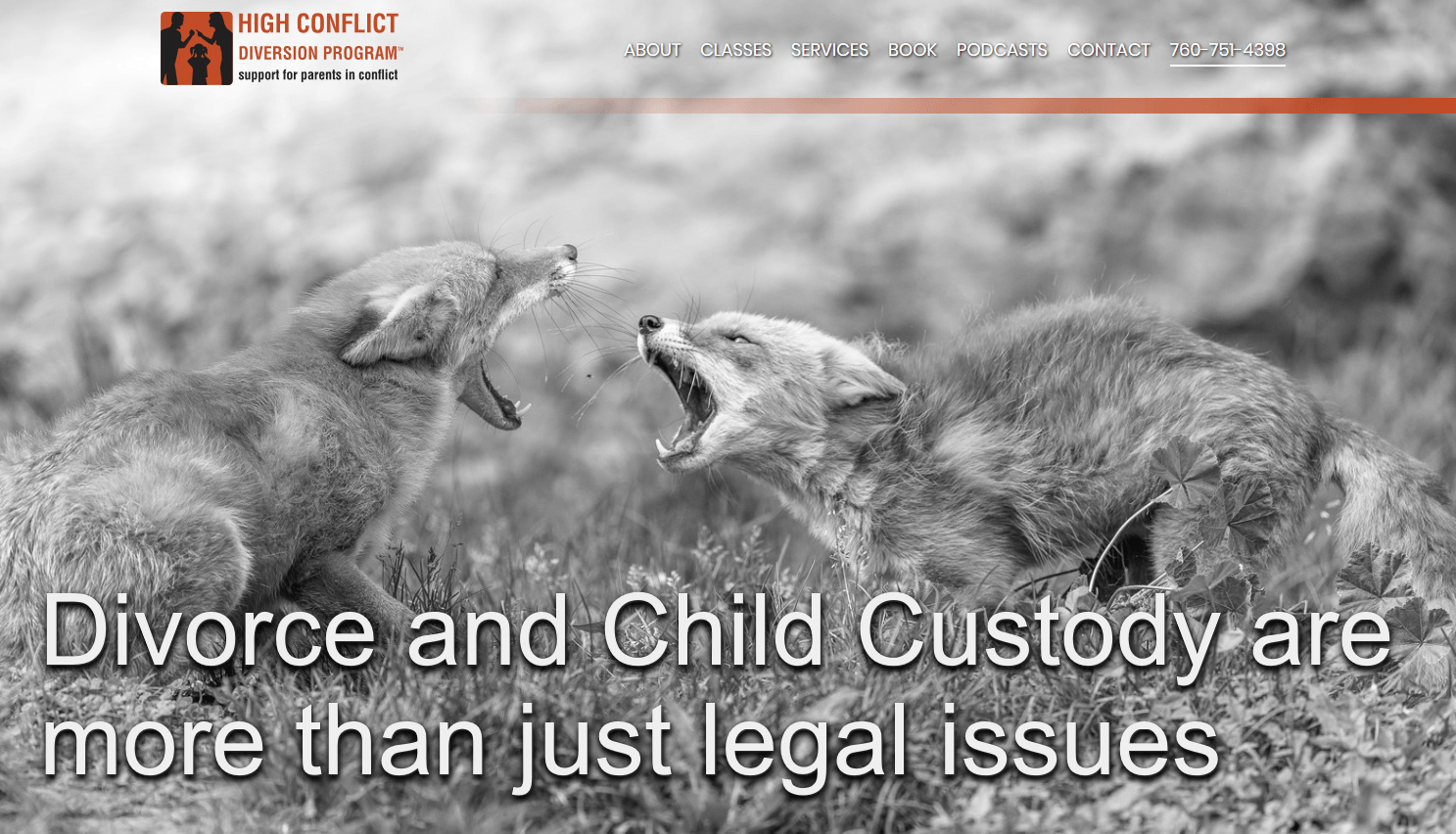 High Conflict Diversion Program Top